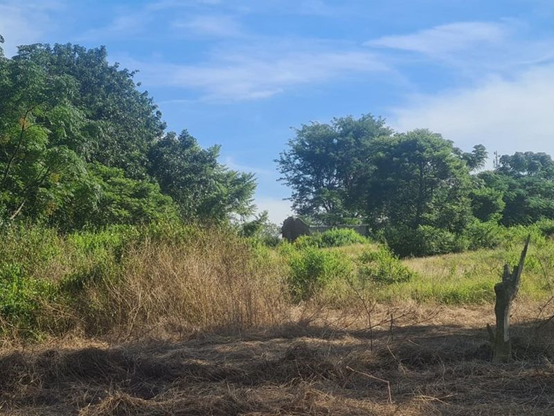 Prime Industrial Vacant Land for Sale - Photo 5