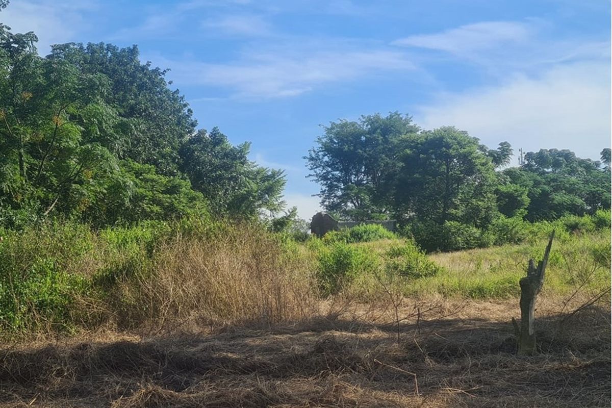 Prime Industrial Vacant Land for Sale - Photo 5