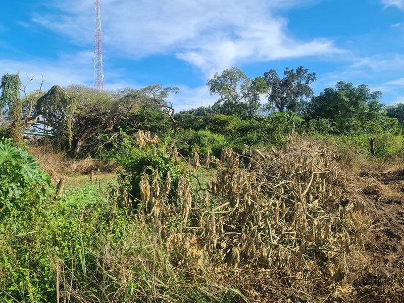 Prime Industrial Vacant Land for Sale - Photo 4