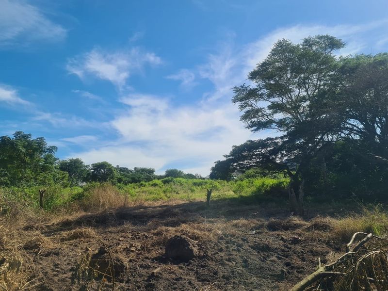 Prime Industrial Vacant Land for Sale - Photo 2