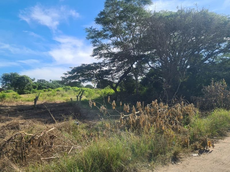 Prime Industrial Vacant Land for Sale - Photo 3