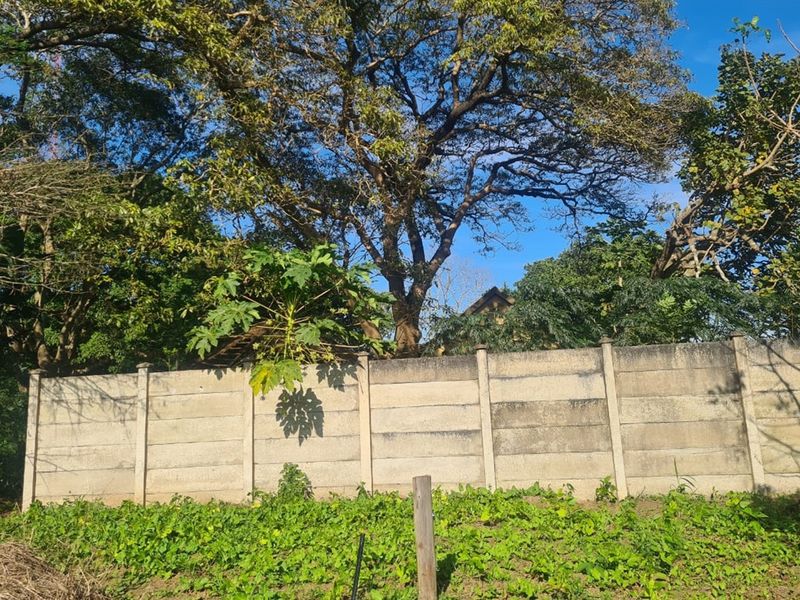 Prime Industrial Vacant Land for Sale - Photo 10