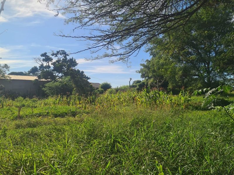 Prime Industrial Vacant Land for Sale - Photo 1