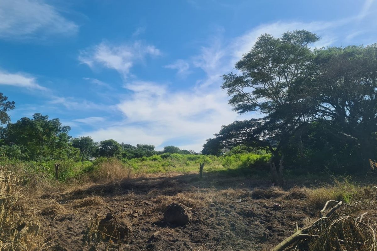 A view of the vacant residential land featuring natural vegetation, mature trees, and cleared ground, suitable for future development.
