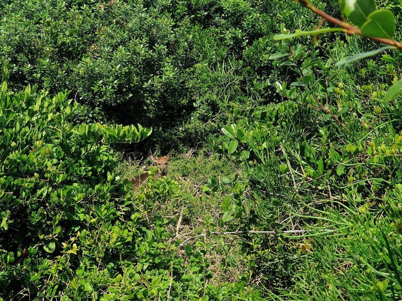 843 m2 Stand for Sale in Dana Bay, P. Repens Street - Photo 9