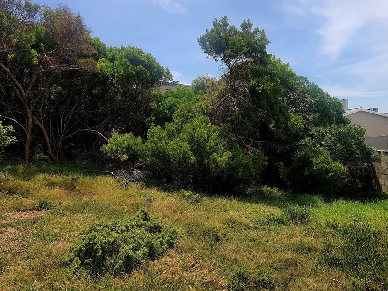 843 m2 Stand for Sale in Dana Bay, P. Repens Street - Photo 7