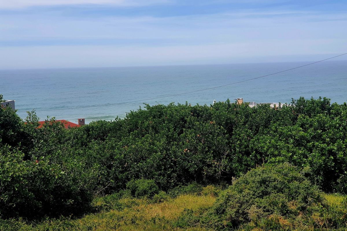 A scenic view of the ocean overlooking dense coastal vegetation and nearby residential rooftops.