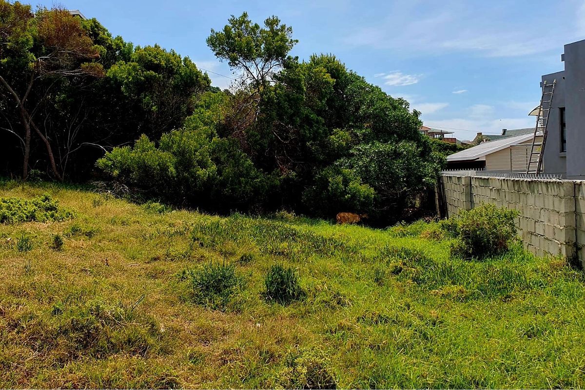 A view of a vacant residential plot featuring established trees and a concrete block boundary wall.