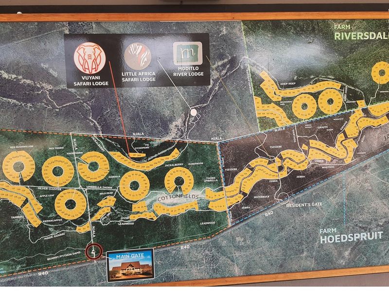 A large stand of >1Ha in Big 4 Moditlo Wildlife Estate - Photo 8