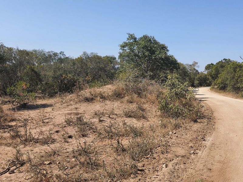 A large stand of >1Ha in Big 4 Moditlo Wildlife Estate - Photo 7