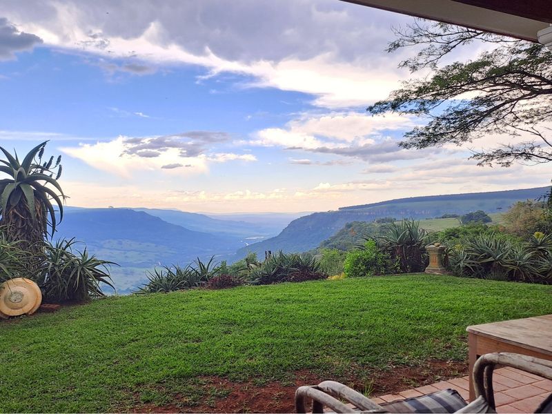 A Once in a Lifetime Investment Opportunity... - Photo 1