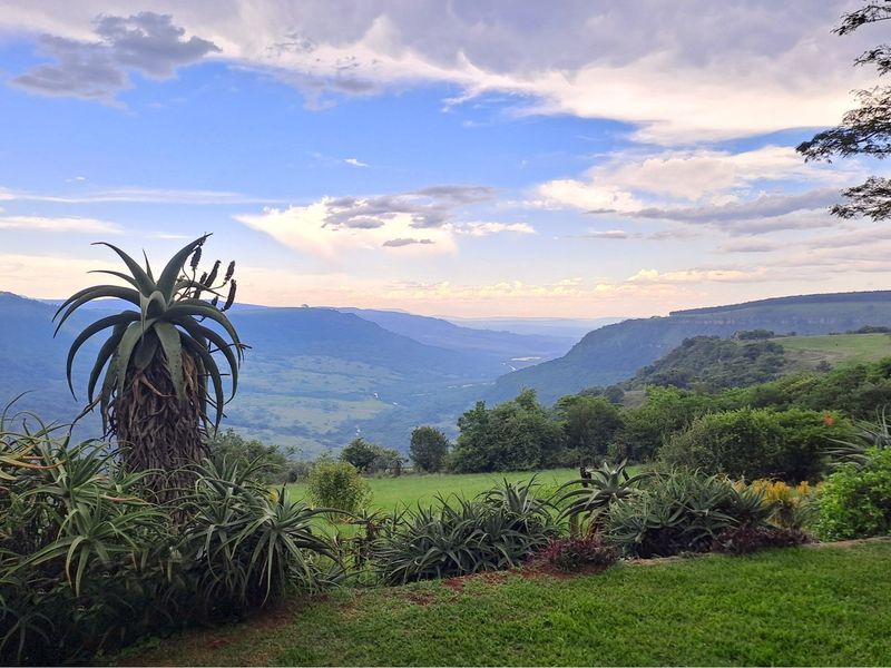A Once in a Lifetime Investment Opportunity... - Photo 6