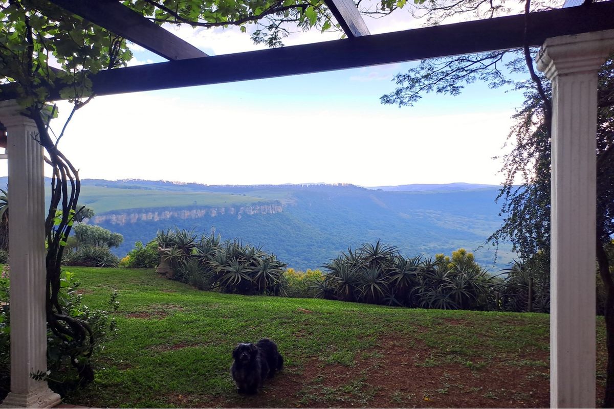 A Once in a Lifetime Investment Opportunity... - Photo 5