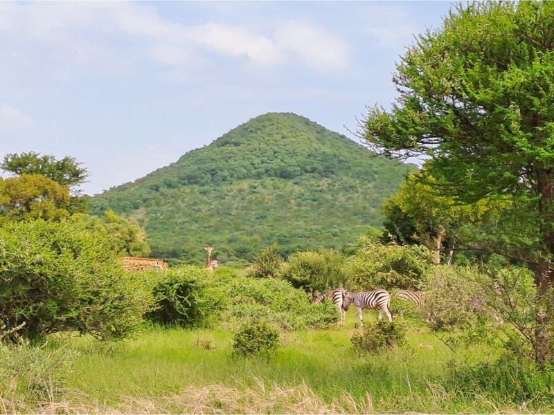 Zwartkloof Game Private Reserve -  2500 sq Meter stand with breath-taking mountain views - Photo 10