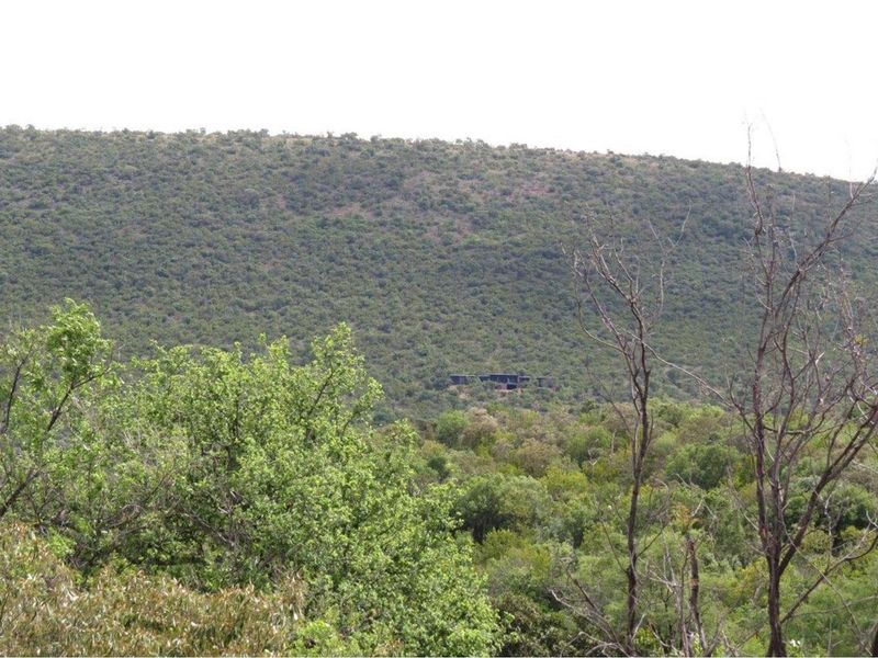 Zwartkloof Game Private Reserve -  2500 sq Meter stand with breath-taking mountain views - Photo 3