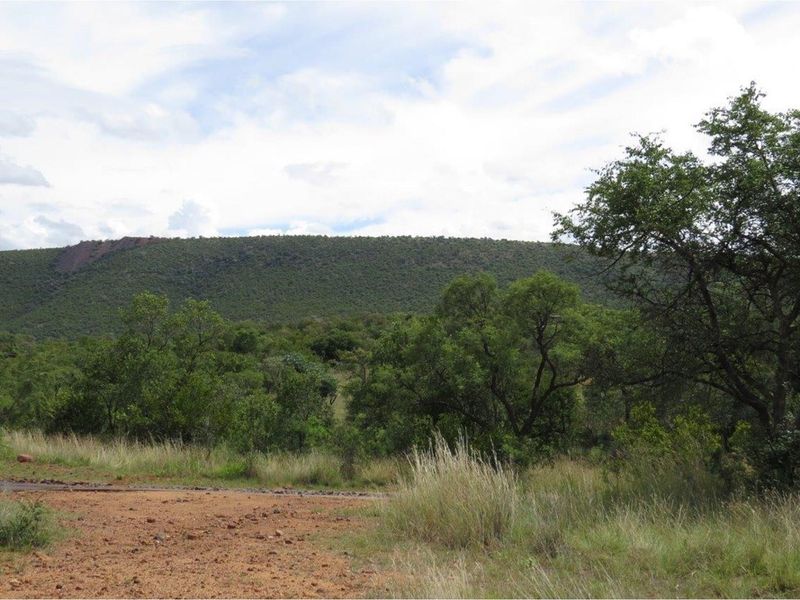 Zwartkloof Game Private Reserve -  2500 sq Meter stand with breath-taking mountain views - Photo 2