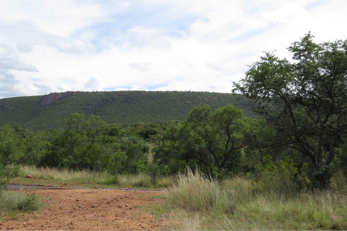 Zwartkloof Game Private Reserve -  2500 sq Meter stand with breath-taking mountain views - Photo 2