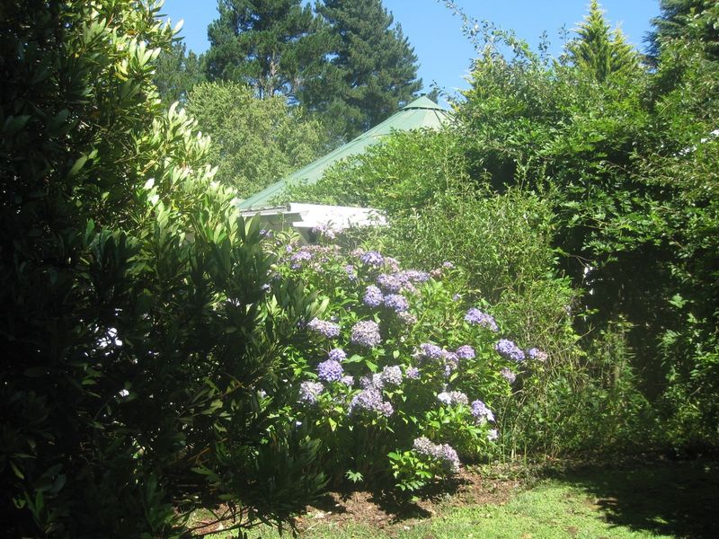 HOGSBACK FOR SALE - SPRING COTTAGE - Photo 9