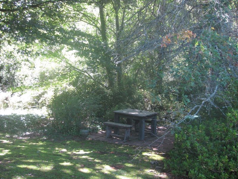 HOGSBACK FOR SALE - SPRING COTTAGE - Photo 8