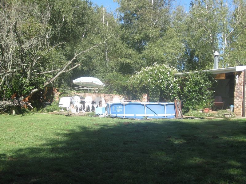 HOGSBACK FOR SALE - SPRING COTTAGE - Photo 7