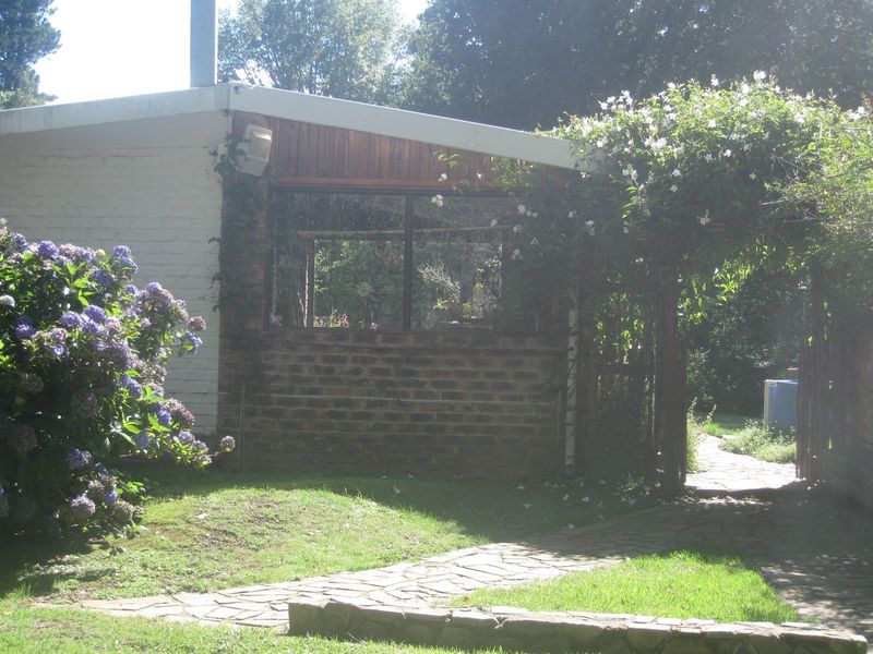 HOGSBACK FOR SALE - SPRING COTTAGE - Photo 6