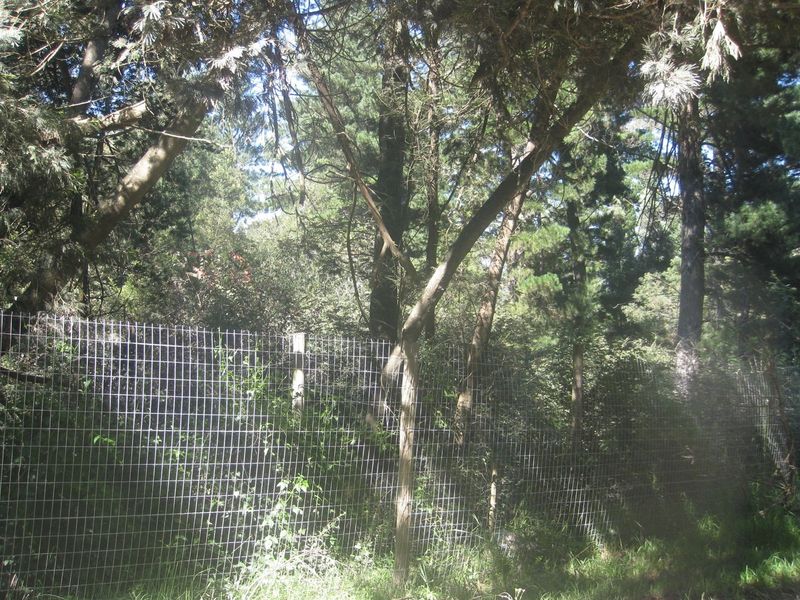 HOGSBACK FOR SALE - SPRING COTTAGE - Photo 2