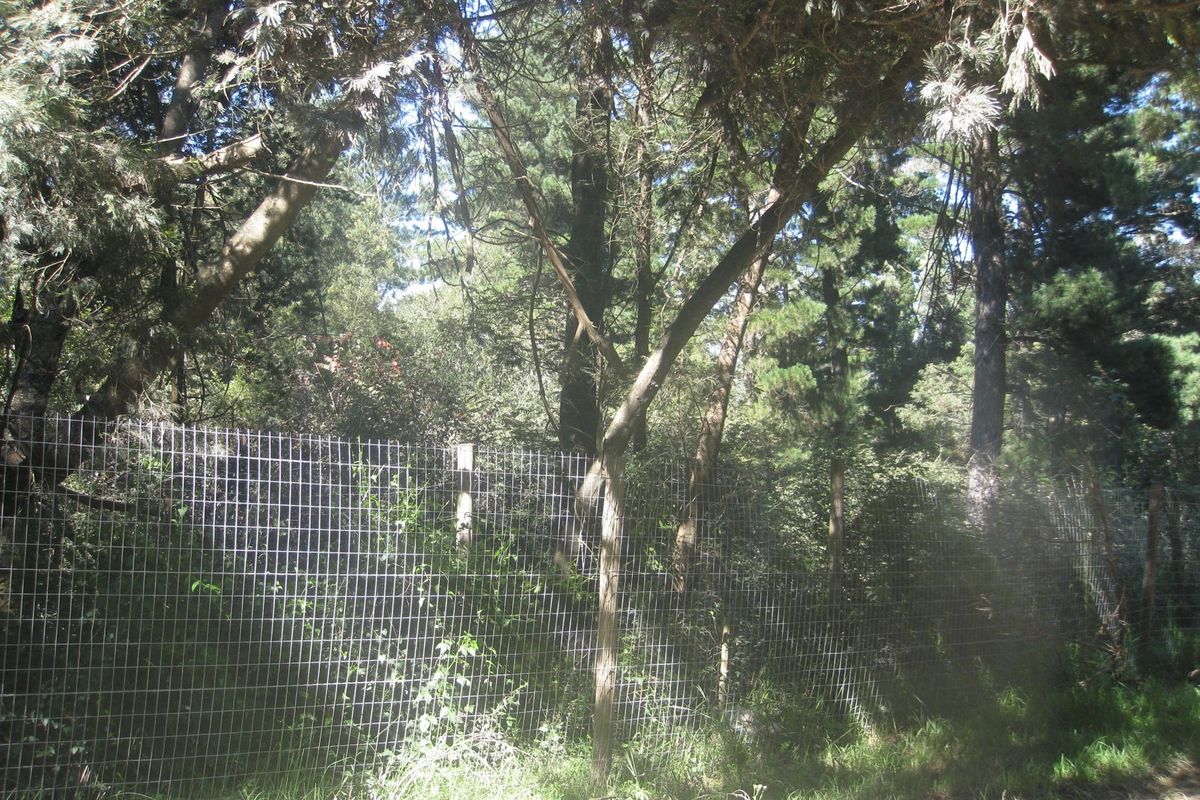 HOGSBACK FOR SALE - SPRING COTTAGE - Photo 2