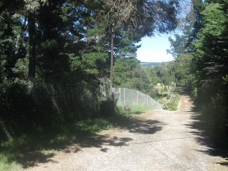 HOGSBACK FOR SALE - SPRING COTTAGE - Photo 3