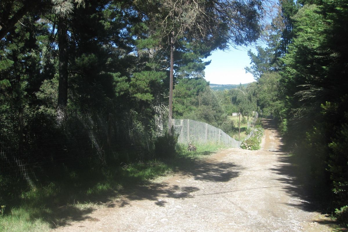 HOGSBACK FOR SALE - SPRING COTTAGE - Photo 3