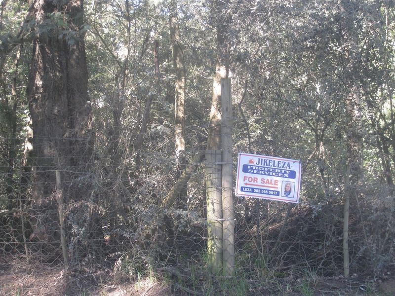 HOGSBACK FOR SALE - SPRING COTTAGE - Photo 5