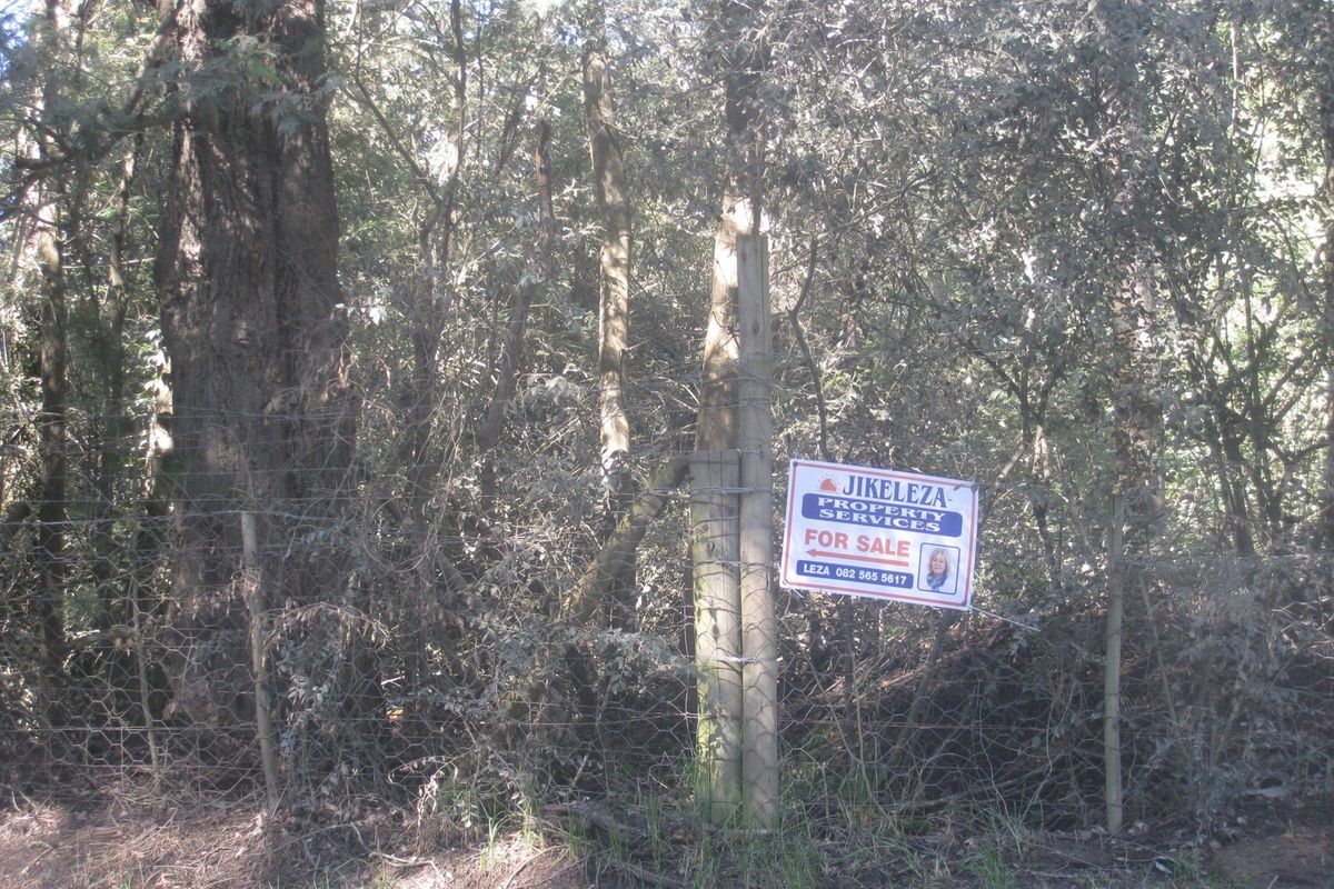 HOGSBACK FOR SALE - SPRING COTTAGE - Photo 5