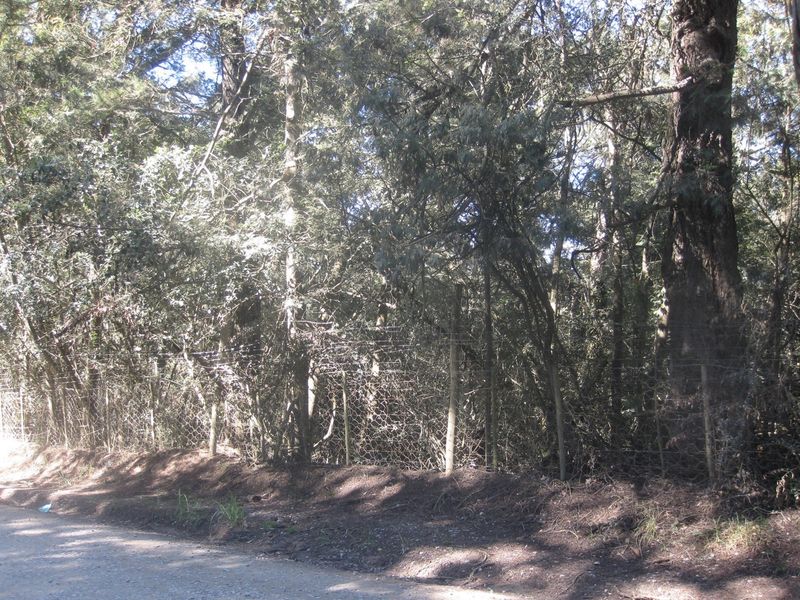 HOGSBACK FOR SALE - SPRING COTTAGE - Photo 4