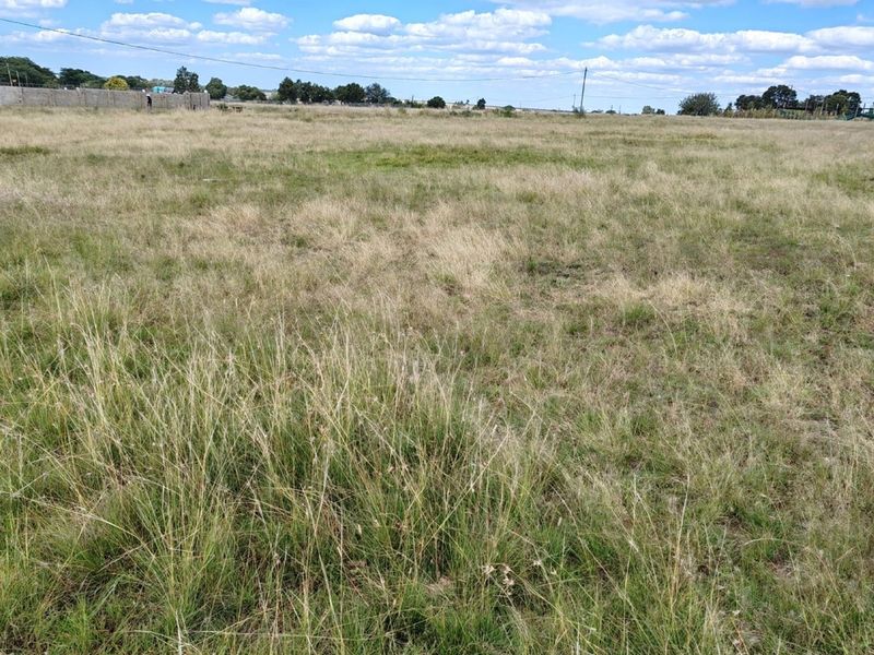 ORANJEVILLE * FREE STATE * R85 000.00 * VACANT LAND * 2385sqm - Photo 8