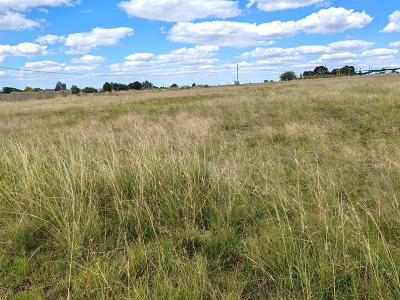 ORANJEVILLE * FREE STATE * R85 000.00 * VACANT LAND * 2385sqm - Photo 7
