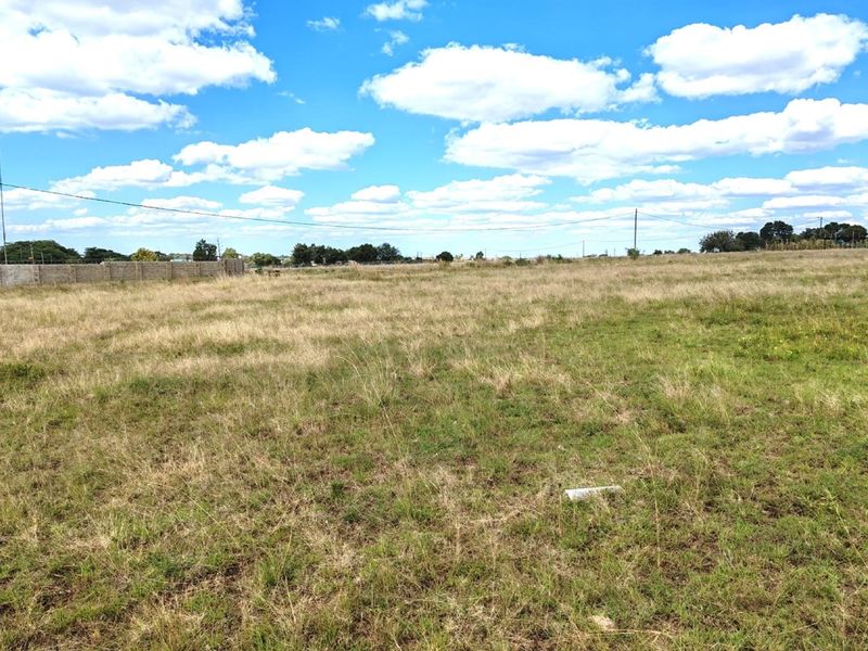 ORANJEVILLE * FREE STATE * R85 000.00 * VACANT LAND * 2385sqm - Photo 10