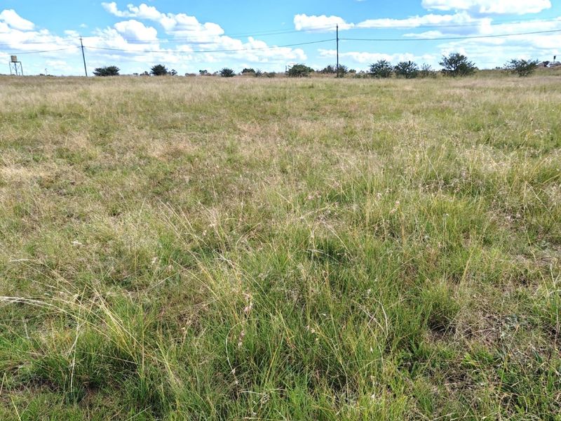 ORANJEVILLE * FREE STATE * R85 000.00 * VACANT LAND * 2385sqm - Photo 6