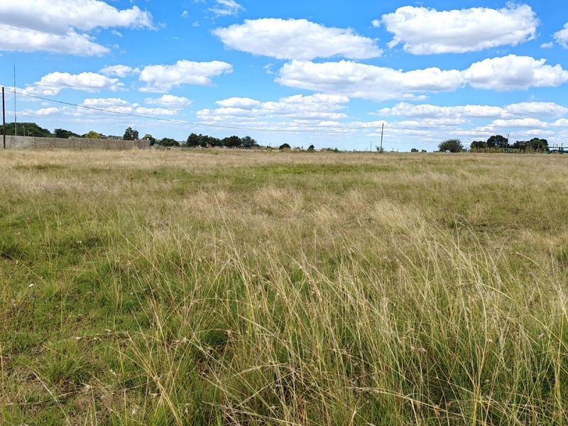 ORANJEVILLE * FREE STATE * R85 000.00 * VACANT LAND * 2385sqm - Photo 5