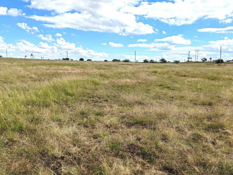 ORANJEVILLE * FREE STATE * R85 000.00 * VACANT LAND * 2385sqm - Photo 9