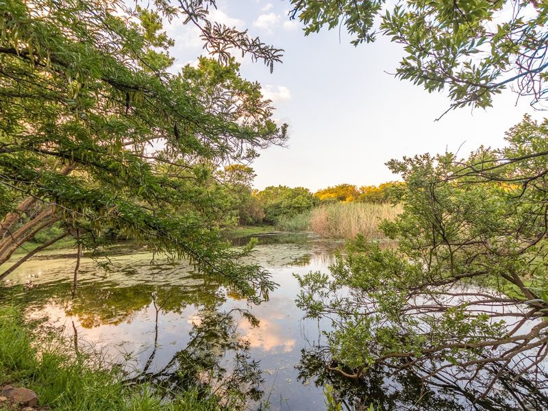 Prime Land for Sale in Waterlake Farm Lifestyle Estate - Photo 10