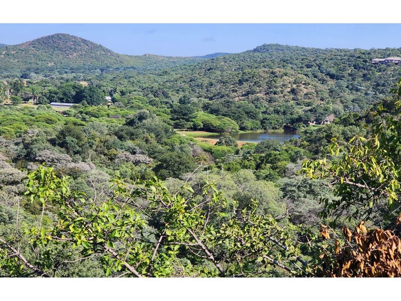 Conference Centre Opportunity  - Land with Exceptional Potential in Intaba Indle Wilderness Estate - Photo 8