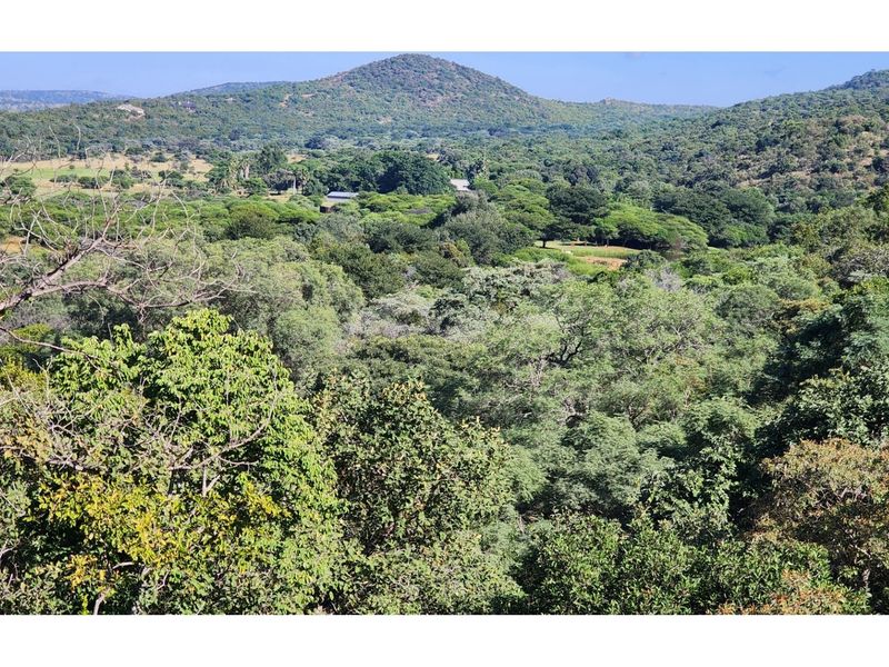 Conference Centre Opportunity  - Land with Exceptional Potential in Intaba Indle Wilderness Estate - Photo 7