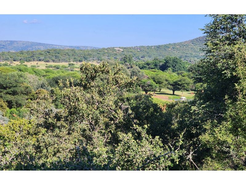 Conference Centre Opportunity  - Land with Exceptional Potential in Intaba Indle Wilderness Estate - Photo 6