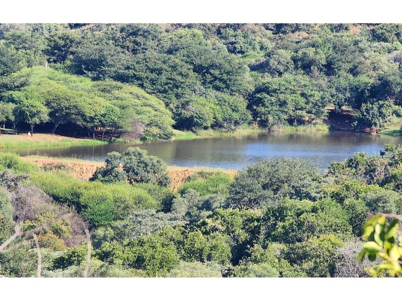 Conference Centre Opportunity  - Land with Exceptional Potential in Intaba Indle Wilderness Estate - Photo 9