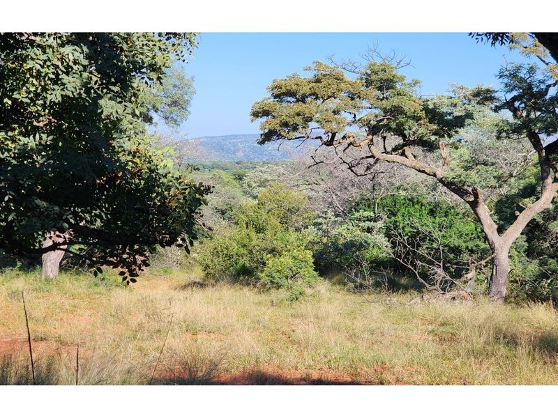 Conference Centre Opportunity  - Land with Exceptional Potential in Intaba Indle Wilderness Estate - Photo 4