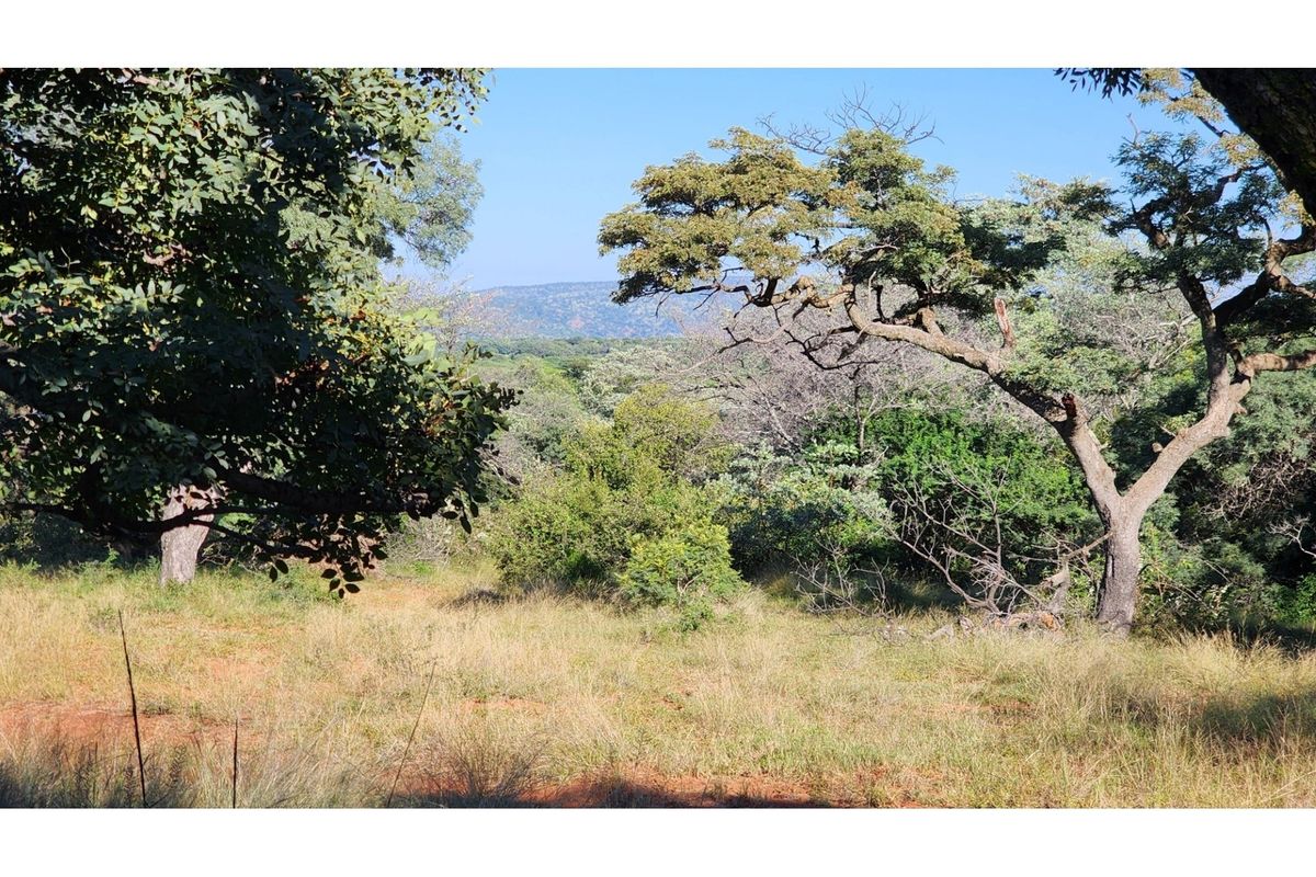 Conference Centre Opportunity  - Land with Exceptional Potential in Intaba Indle Wilderness Estate - Photo 4