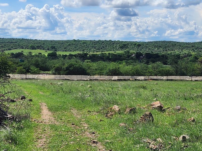 Exclusive Opportunity: Prime 28 Ha Farm on the Banks of the Sandriver in Mopane Area - Photo 10