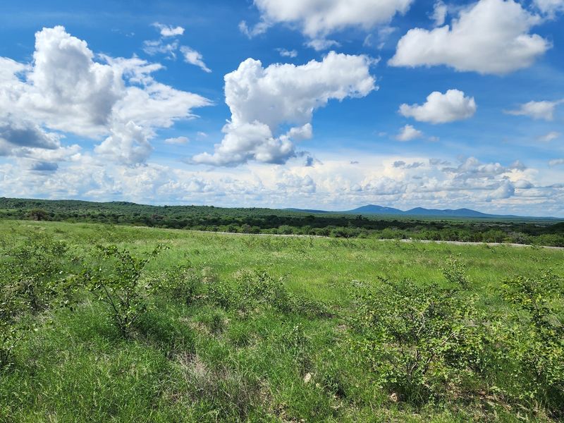 Exclusive Opportunity: Prime 28 Ha Farm on the Banks of the Sandriver in Mopane Area - Photo 8