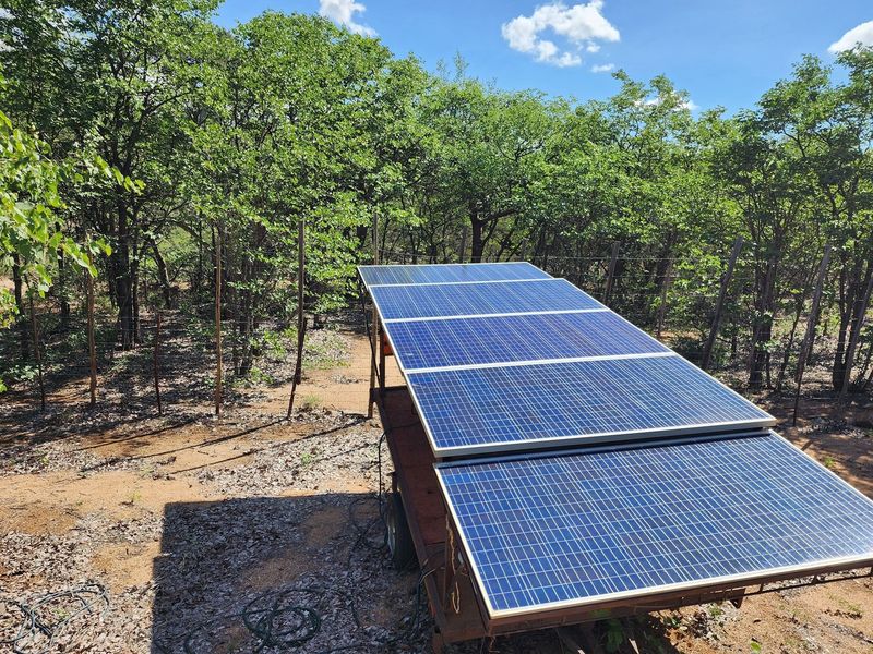 Exclusive Opportunity: Prime 28 Ha Farm on the Banks of the Sandriver in Mopane Area - Photo 6