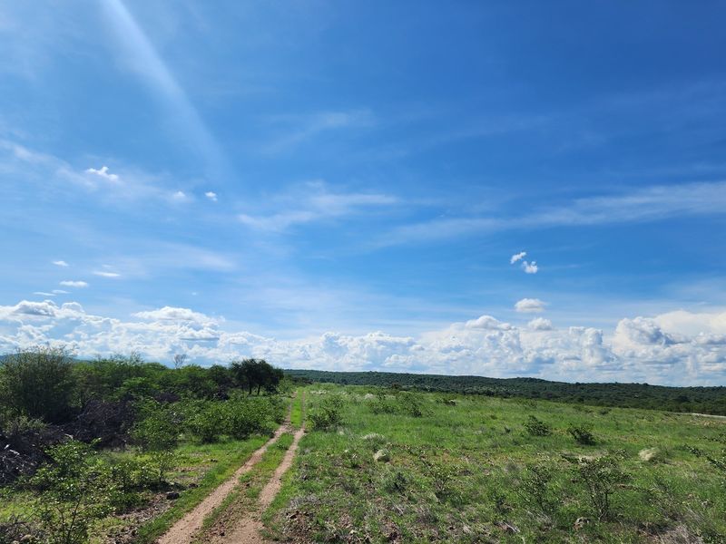 Exclusive Opportunity: Prime 28 Ha Farm on the Banks of the Sandriver in Mopane Area - Photo 3