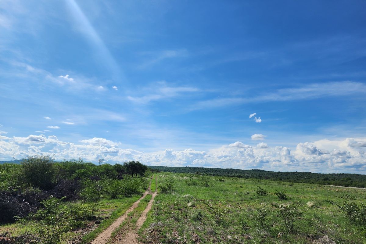 Exclusive Opportunity: Prime 28 Ha Farm on the Banks of the Sandriver in Mopane Area - Photo 3